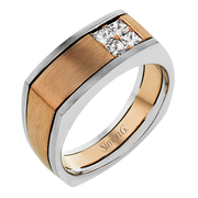 Men Ring in 14k Gold