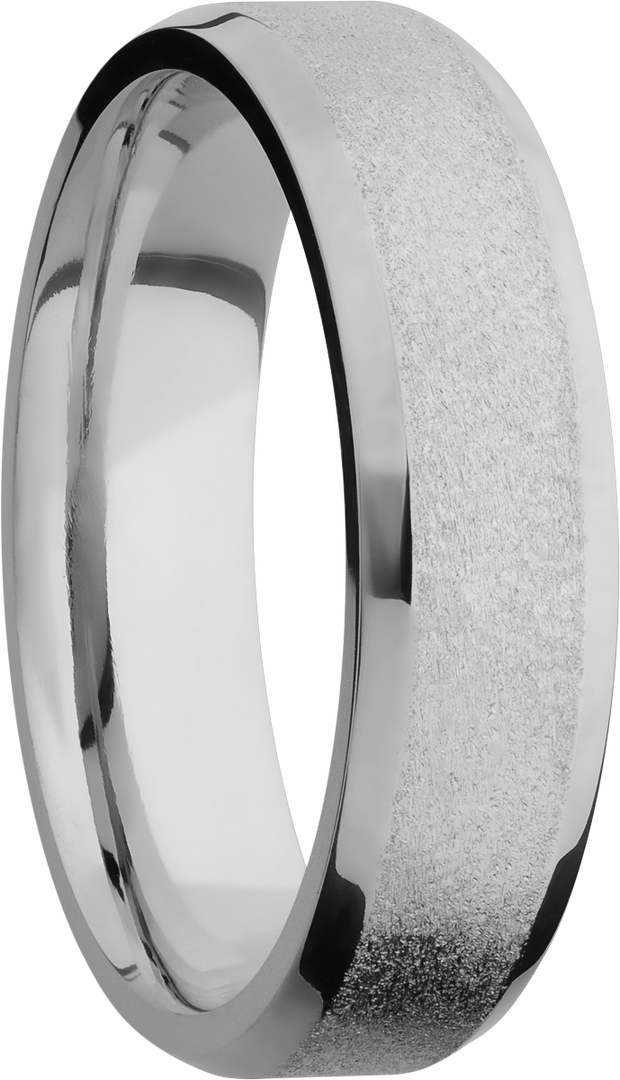 Titanium 6mm beveled band