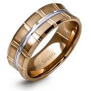 Men Ring in 14k Gold